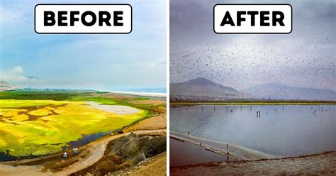 cleaning mud Peru|A Man From Peru Has Found an Ingenious .